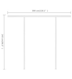 Auvent manuel rétractable avec poteaux 3x2,5 m Crème