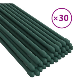 Piquets pour plantes de jardin 30 pcs vert 180 cm acier