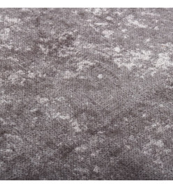 Tapis lavable antidérapant 190x300 cm Gris