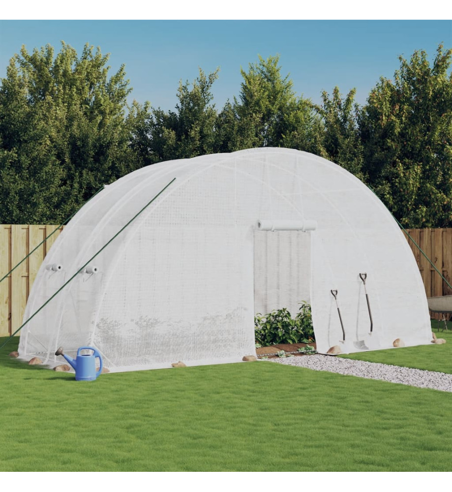 Serre avec cadre en acier blanc 12 m² 6x2x2,85 m