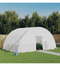 Serre avec cadre en acier blanc 24 m² 6x4x2,85 m