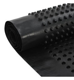 Feuille de drainage à fossettes PEHD 400 g / m² 1 x 20 m