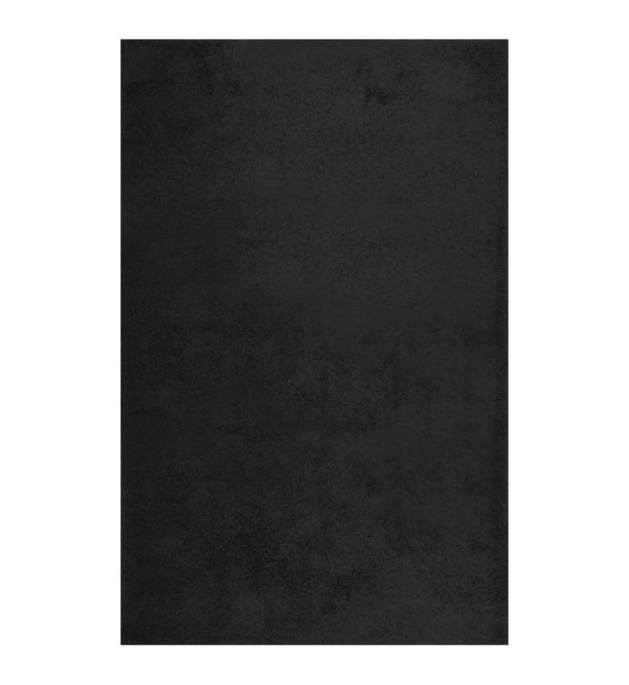 Tapis shaggy à poils longs Noir 200x290 cm