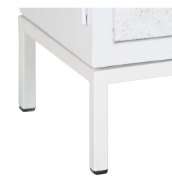 Meuble TV Blanc 115x30x46 cm Bois massif de manguier