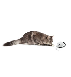 FroliCat Jouet automatique pour chat RoloRat