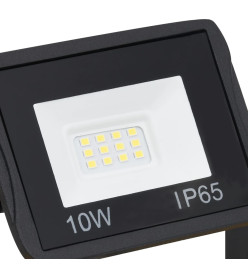 Projecteur à LED avec poignée 2x10 W Blanc froid