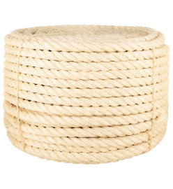 Corde 100 % sisal 20 mm 25 m