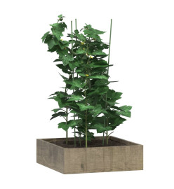 Supports pour plantes de jardin 3 anneaux 5pcs Vert 75 cm Acier