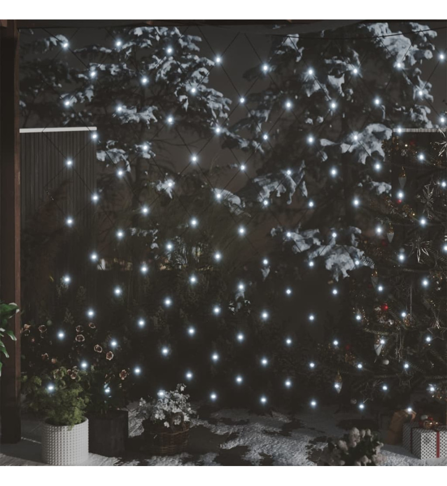 Filet lumineux blanc froid de Noël 3x3 m 306 LED Int/ext