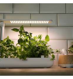 Livoo Jardin d'intérieur 1,2 L 21 W Blanc