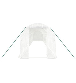 Serre avec cadre en acier blanc 24 m² 12x2x2 m