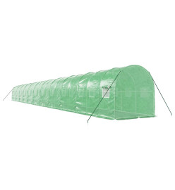 Serre avec cadre en acier vert 44 m² 22x2x2 m