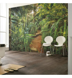 Komar Photo murale Jungle Trail 368 x 254 cm