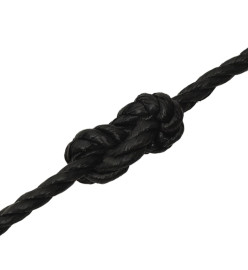 Corde de travail Noir 12 mm 250 m polypropylène