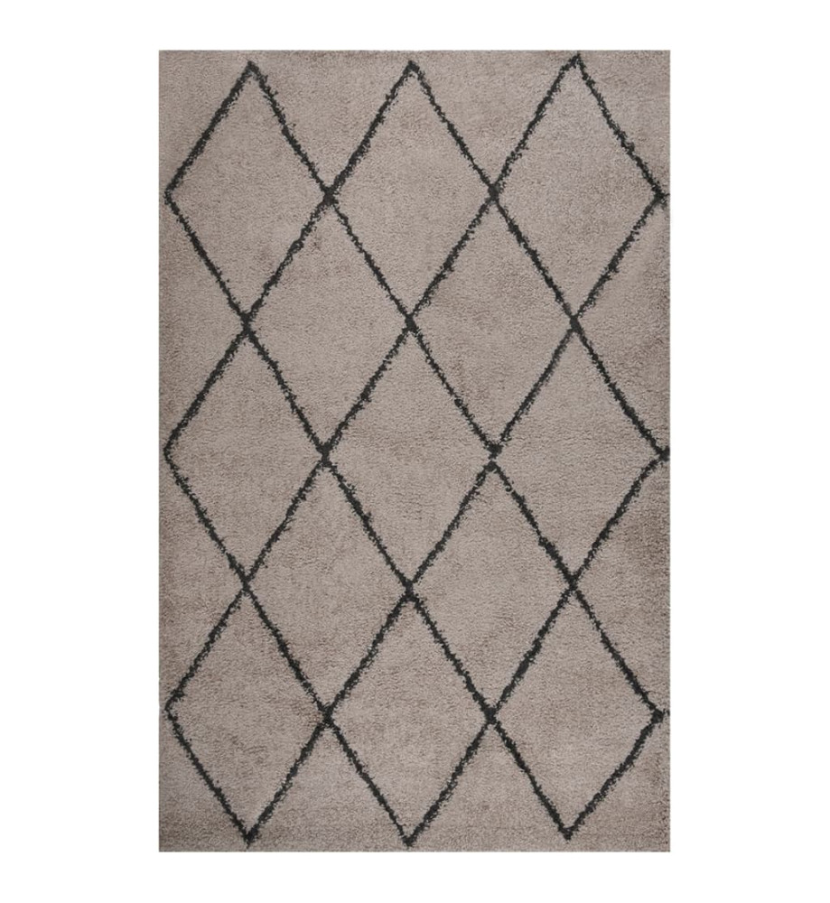 Tapis shaggy à poils longs Beige et anthracite 200x290 cm