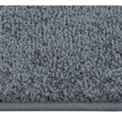 Tapis à poils courts 200x290 cm Anthracite