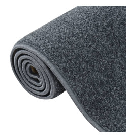 Tapis à poils courts 200x290 cm Anthracite