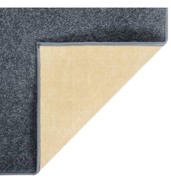 Tapis à poils courts 200x290 cm Anthracite