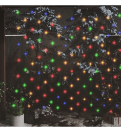 Filet lumineux coloré de Noël 3x2 m 204 LED Intérieur/extérieur