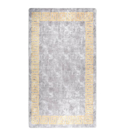 Tapis lavable antidérapant 190x300 cm Gris