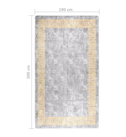 Tapis lavable antidérapant 190x300 cm Gris