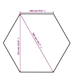 Chapiteau tente de jardin avec rideaux Hexagonal 360 x 265 cm